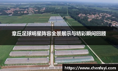 章丘足球明星阵容全景展示与精彩瞬间回顾